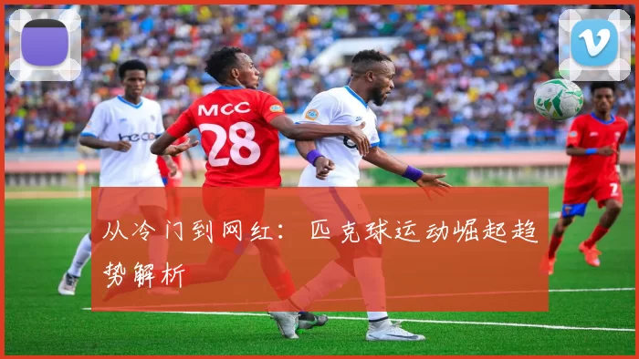 从冷门到网红：匹克球运动崛起趋势解析