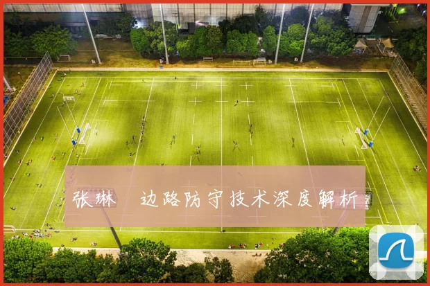 张琳芃边路防守技术深度解析